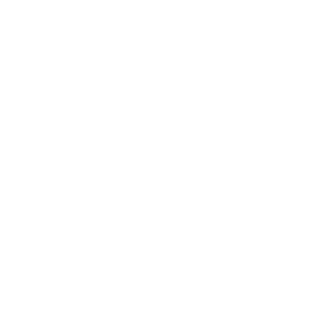 Speeding endangers everyone on the road: In 2020, speeding killed 11,258 people.