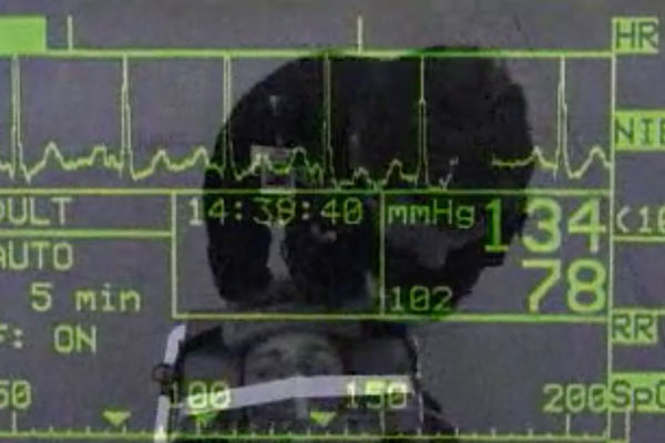 a screen with vitals in green and black